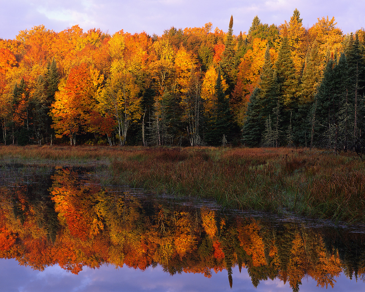 Autumn Foliage Along a Calm Lake Watersmeet, Michigan, USA