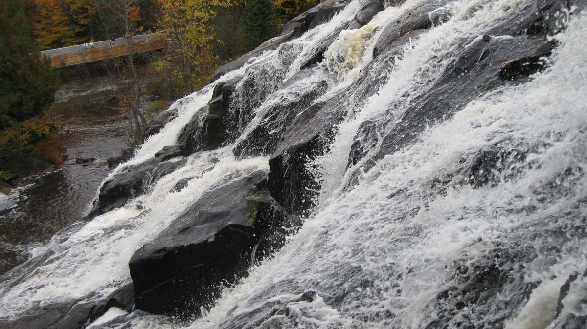 Bond falls 3