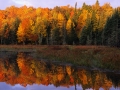 Autumn Foliage Along a Calm Lake Watersmeet, Michigan, USA