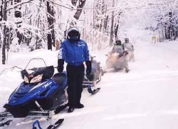 sleds