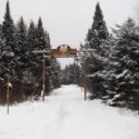 Snowmobile Report 2/1/19